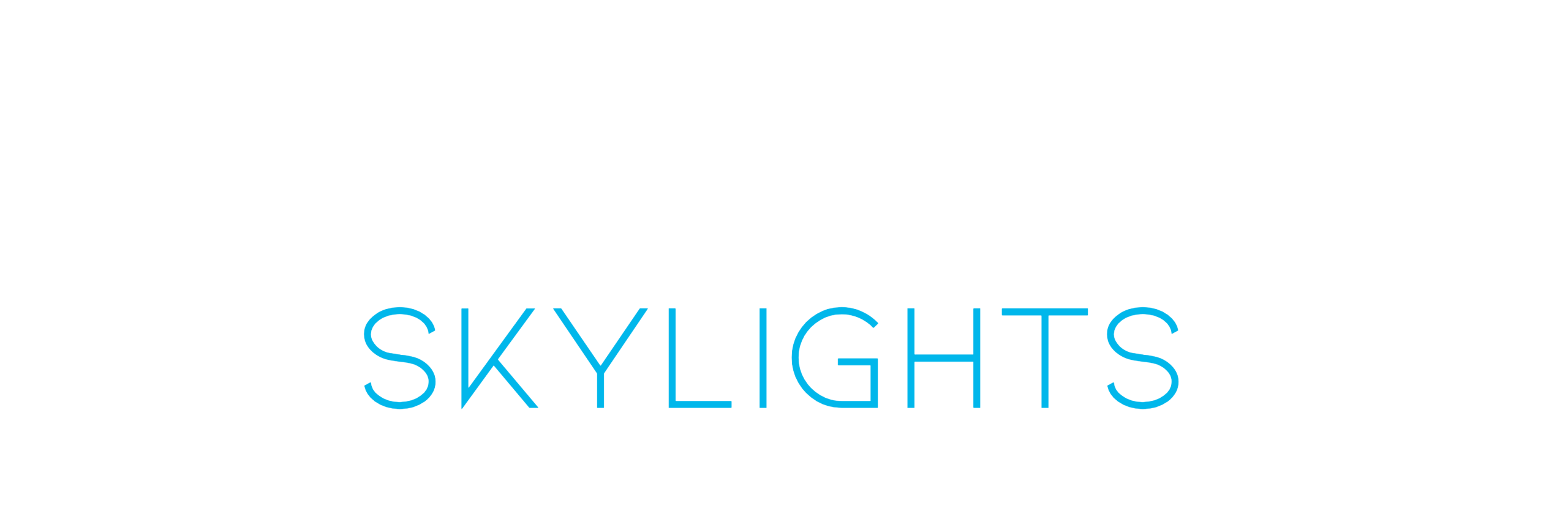 taylon skylights logo
